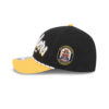 Pittsburgh Steelers Team Loyal Logo Snapback Hat