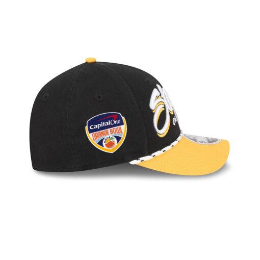 Pittsburgh Steelers Team Loyal Logo Snapback Hat
