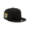 Seattle Seahawks Black-on-Black Logo Snapback Cap in Black
